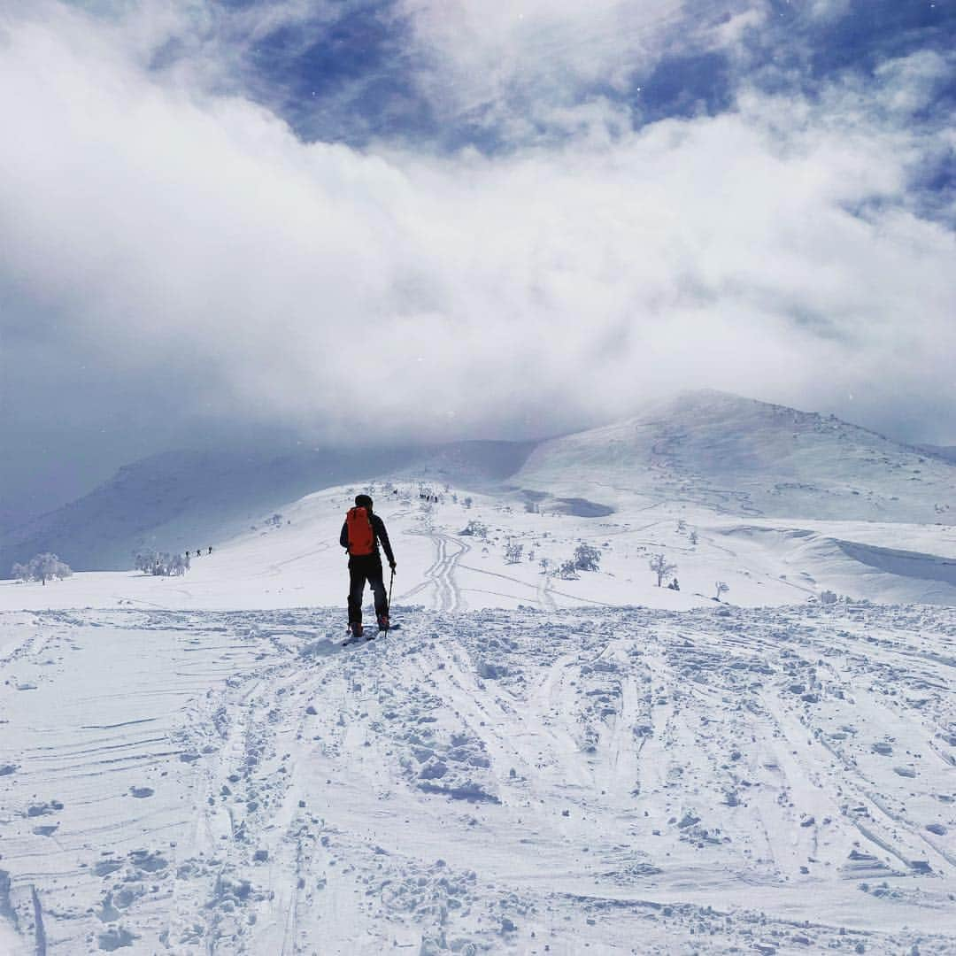 渡部暁斗さんのインスタグラム写真 - (渡部暁斗Instagram)「10日間の北海道。雪が降り続けるので、ほぼ毎日山へ上がってスキー三昧。最高でした🙏  #hokkaido #spreadtelemark #livetoski #goldwin #oakley」3月31日 10時12分 - wtbakt