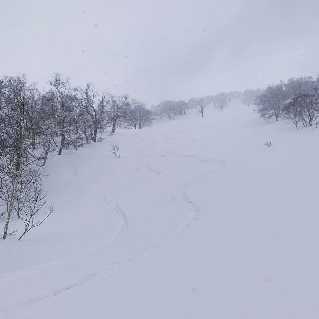 渡部暁斗さんのインスタグラム写真 - (渡部暁斗Instagram)「10日間の北海道。雪が降り続けるので、ほぼ毎日山へ上がってスキー三昧。最高でした🙏  #hokkaido #spreadtelemark #livetoski #goldwin #oakley」3月31日 10時12分 - wtbakt