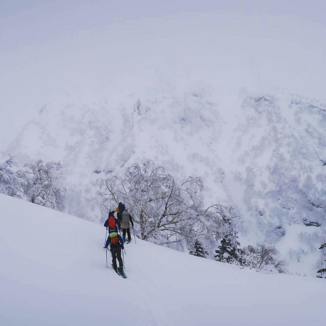 渡部暁斗さんのインスタグラム写真 - (渡部暁斗Instagram)「10日間の北海道。雪が降り続けるので、ほぼ毎日山へ上がってスキー三昧。最高でした🙏  #hokkaido #spreadtelemark #livetoski #goldwin #oakley」3月31日 10時12分 - wtbakt