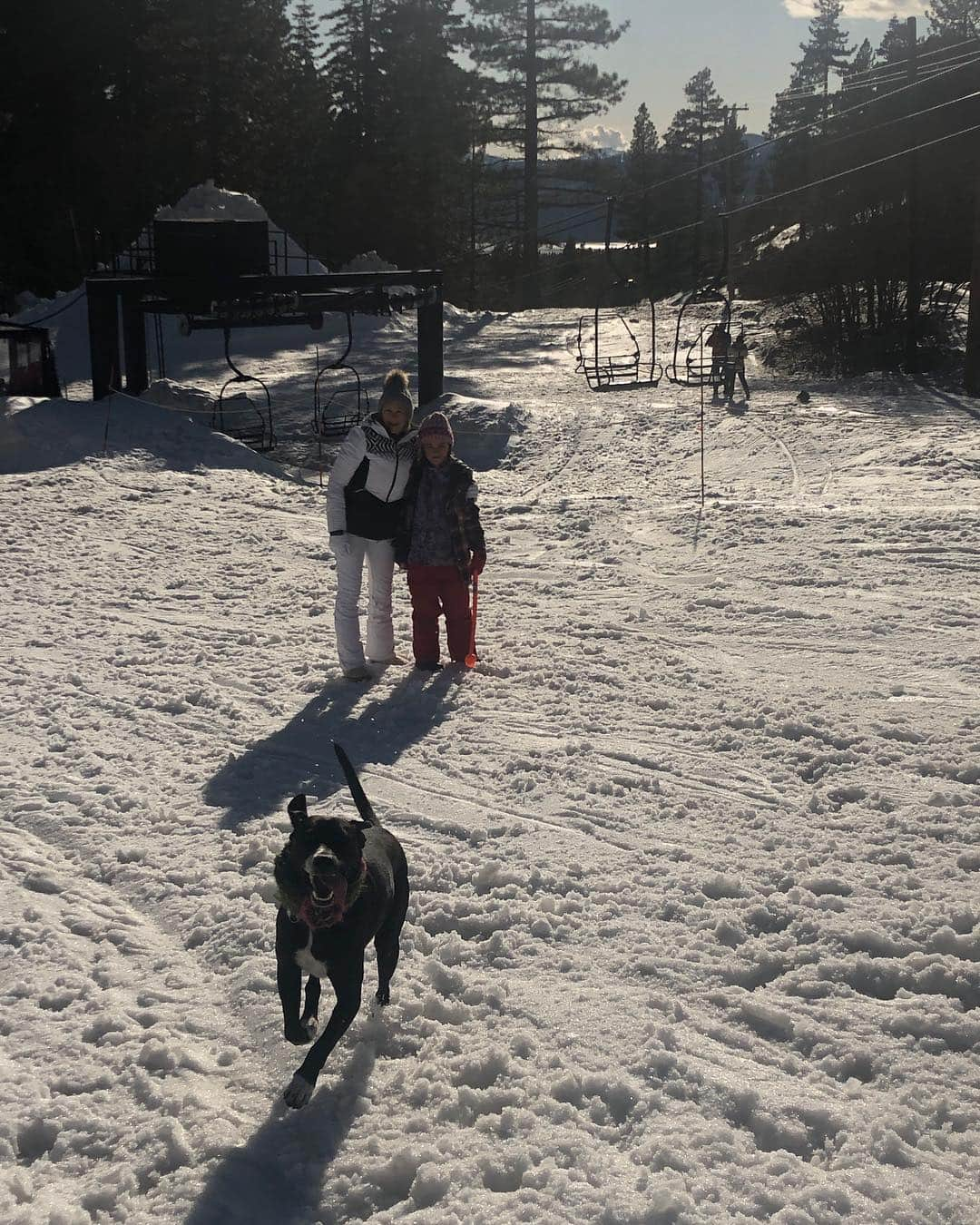 メリッサ・ジョーン・ハートさんのインスタグラム写真 - (メリッサ・ジョーン・ハートInstagram)「Sledding fun! 🛷 #3generations and a Cleo.」3月31日 11時04分 - melissajoanhart