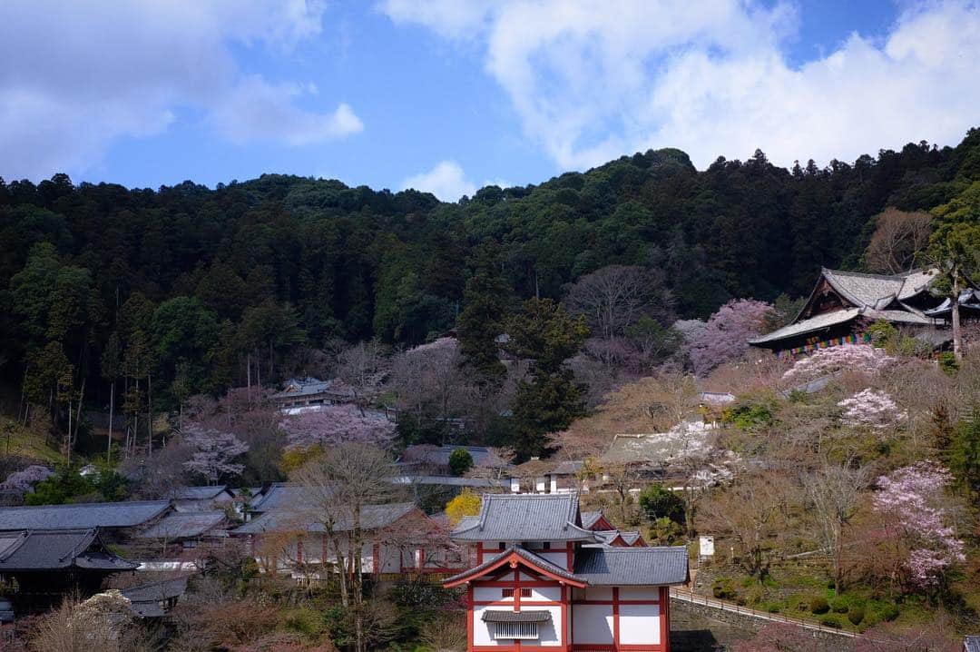 奈良 長谷寺 / nara hasederaのグルメインスタ