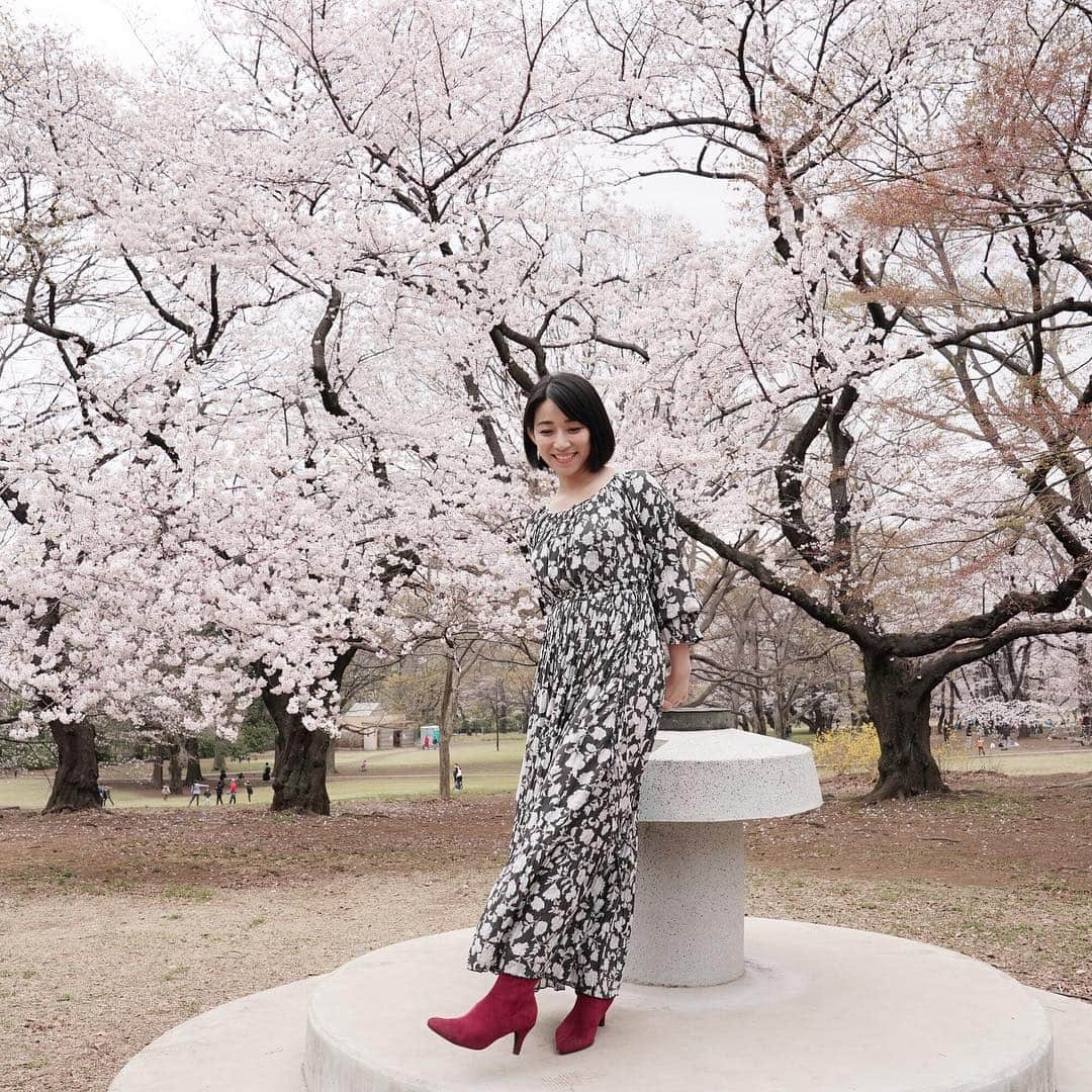 川田希さんのインスタグラム写真 - (川田希Instagram)「🌸🌸🌸 . . . #桜 #さくら #cherryblossom #japan #tokyo #sakura #portrait #photography #写真好きな人と繋がりたい」3月31日 2時24分 - nozomikawata