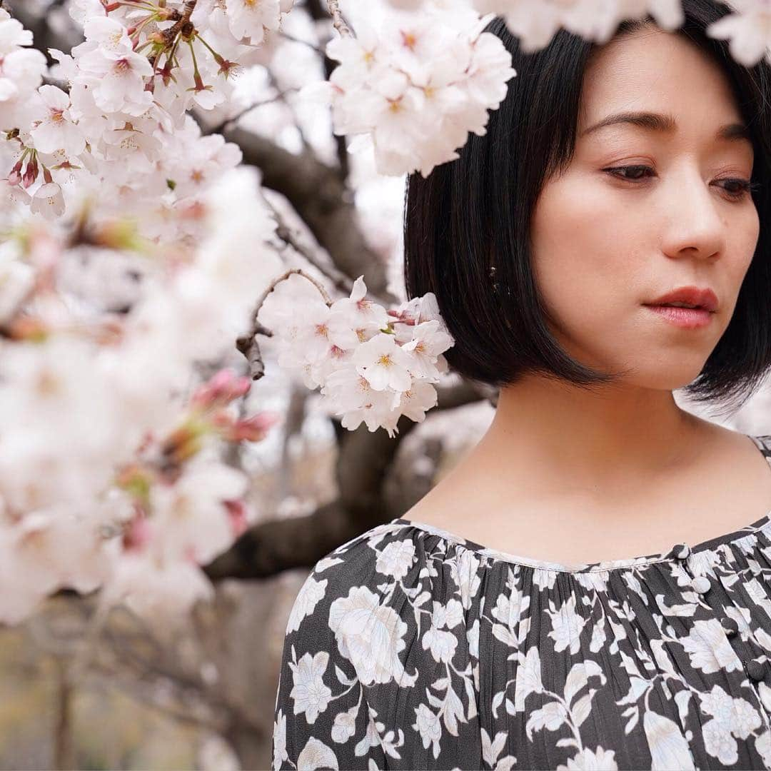 川田希さんのインスタグラム写真 - (川田希Instagram)「🌸🌸🌸 . . . #桜 #さくら #cherryblossom #japan #tokyo #sakura #portrait #photography #写真好きな人と繋がりたい」3月31日 2時24分 - nozomikawata