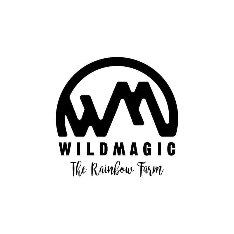 のインスタグラム：「・ ・ 都心のoutdoor BBQ park@豊洲 WILD MAGIC & LOVE KINGDOM @wildmagic_therainbowfarm  都内唯一の屋外weddingが叶う photogenic space盛り沢山 ・ LOVE KINGDOM @lovekingdom_wedding  こだわりcoupleの こだわりoriginal wedding. ・ #weddingcircus #wildmagic #weddingdress  #weddingflower #design #wedding #2019wedding #weddingdirection #originalwedding  #花嫁 #プレ花嫁 #卒花嫁 #オリジナルウェディング #結婚 #結婚式場 #結婚式 #結婚式準備 #結婚準備  #結婚式アイデア #写真 #1日1組貸切wedding  #結婚式レポ #結婚式レポート #ウェディング #ブライダル #ファッション #ウェディングフォト #ウェディングフェア #入籍 #ブライダルフェア」