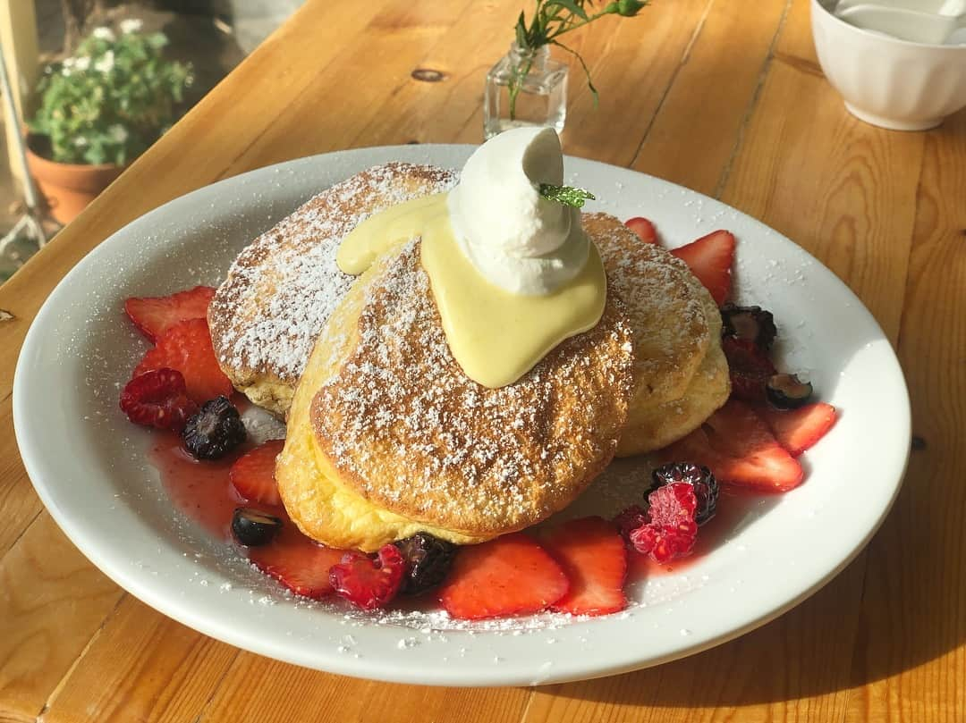 坂元美香さんのインスタグラム写真 - (坂元美香Instagram)「今日のBreakfastはふわっふわのスフレパンケーキ🥞💓 @creampothawaii . 朝からお散歩がてらホテルから15分ほど歩いて行ってきた。私はだいたいどこ行っても陽の当たる席に通されるのだけど、朝から日焼けしまくりな席でヤモリくんたちの出会いと会話を想像しながら楽しんできました。私、ヤモリ好きかもしれない…😳💓 . #creampot #クリームポット #スフレパンケーキ #ヤモリ #hawaii #ハワイ #ハワイの朝食 #坂元食べログ」3月31日 5時19分 - mika_saka