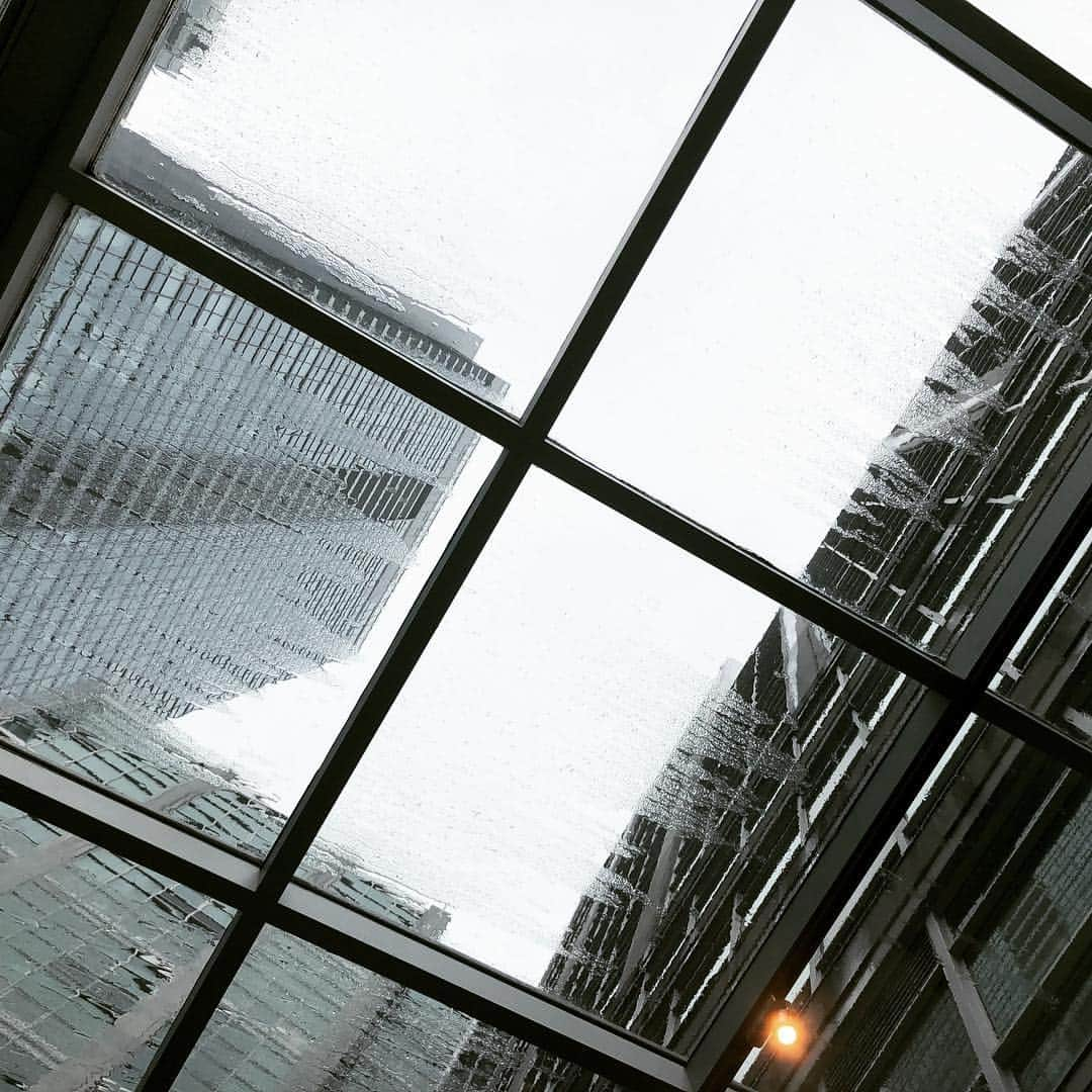 シーマス・デヴァーさんのインスタグラム写真 - (シーマス・デヴァーInstagram)「Toronto, from my gym floor.」3月31日 5時28分 - seamuspatrickdever