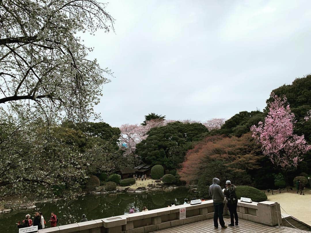 こにわさんのインスタグラム写真 - (こにわInstagram)「Title：小庭、御庭を撮る  思い：先日行った「東京国立博物館」の庭園が凄く美しくて撮りたくなりました。 僕の名字の小庭は、おにわと読まれる事もあり、御庭と言葉遊びで表現してみました。 美しい景観には人さえも含めてartに出来る力があり、わざと人を入れてます。  #art #桜 #beautiful #美 #cherryblossom」3月31日 5時37分 - koniwa1982