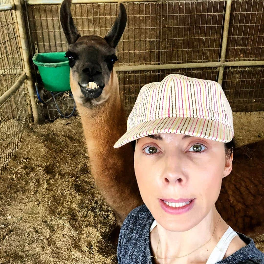 ウィットニー・カミングスさんのインスタグラム写真 - (ウィットニー・カミングスInstagram)「This is what a humane selfie with an animal looks like. I know this alien isn’t as sexy as a lion, tiger, or bear cub, but touching those animals involves abuse such as declawing, drugging, and prematurely taking the cub from its mother, which involves abuse for both animals. I just recently learned all this stuff, and am ashamed that I didn’t know sooner and swiped right on more than one guy on a dating app whose profile pic was posing with a tiger. Major whoops. 🤦🏻‍♀️ #humaneselfie (thank you for patiently educating me @lionstigers_andbears and @pawsark2000)」3月31日 5時45分 - whitneycummings