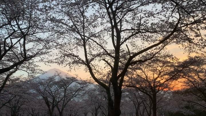 phantastic420のインスタグラム：「. 🤩🤩“Shizuoka” prefecture in Japan is a place where you can see the most “phantastic” Mt. Fuji🗻 in the world.🤩 #富士山 #mtfuji #japan #shizuoka #fujinomiya  #phantastic420photography #mostphantasticmtfuji #selamatpagi  #goodmorning  #おはようございます 😇😇😇😇😇😇😇🗻😇😇 なんて素敵な朝なのでしょう🤩」