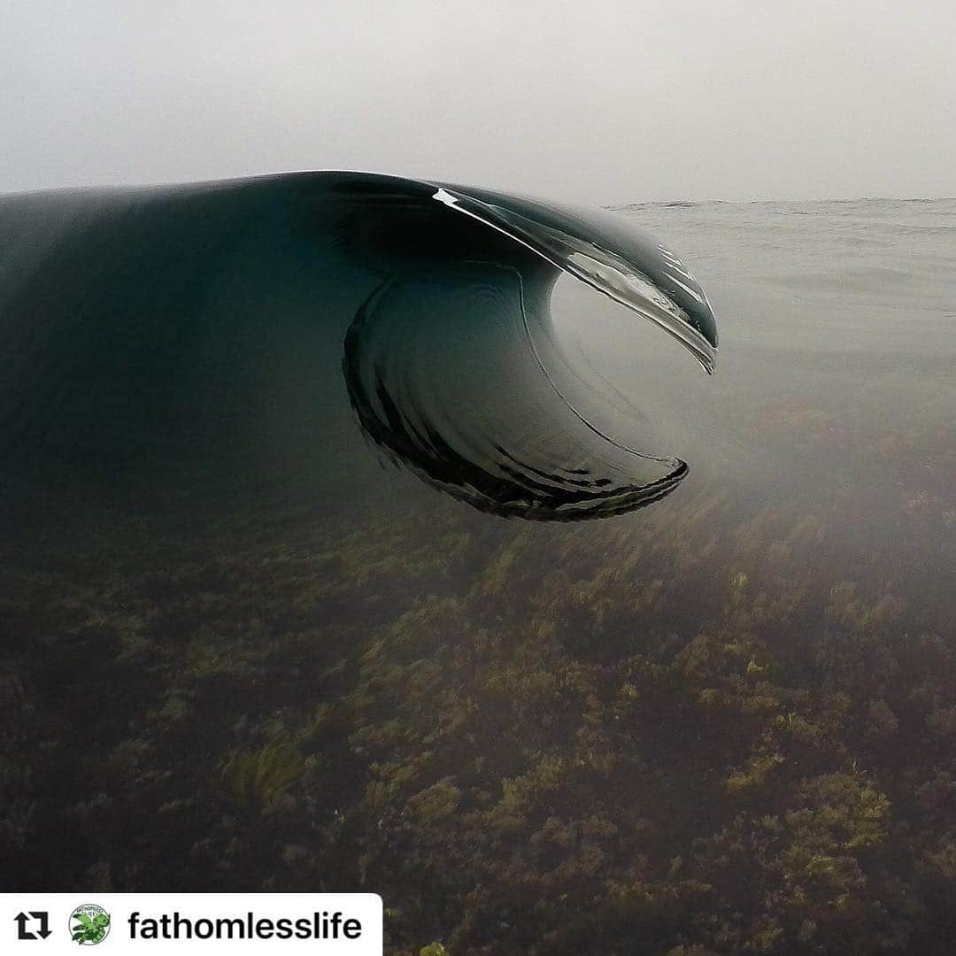 シャロン・ローレンスさんのインスタグラム写真 - (シャロン・ローレンスInstagram)「#saturdayvibes #whatliesbeneath  #oceanmystery  #scuba」3月31日 5時51分 - sharonelawrence