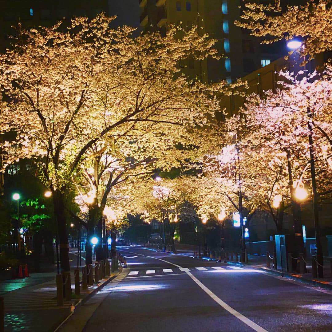 team_omotesandoのグルメインスタ