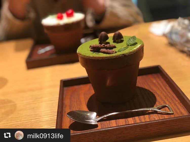 のインスタグラム：「#repost @milk0913life via @PhotoAroundApp  2019.03.28 ルミネエストにある盆栽スイーツ #instaphoto#likeforlikes#instagood #instalike#l4like#cafe#likes#drink #グルメ#新宿#ルミネエスト#ハレノヒ#お洒落#東京#Tokyo #カフェ巡り#カフェ巡り好きな人と繋がりたい @milk0913life様 ご来店ありがとうございます😊お写真も嬉しいです♪」