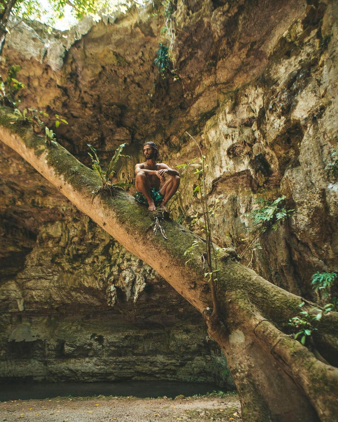 Ricardo Baldinさんのインスタグラム写真 - (Ricardo BaldinInstagram)「Avatar or Yucatán?  Saw on a documentary called Strange Rock, on Netflix, that the meteor that made extinct the dinosaurs hit the earth around Yucatán, and that created many of the Cenotes. 👀 #travel #yucatan #mogli #yoga」3月31日 6時50分 - rbaldin