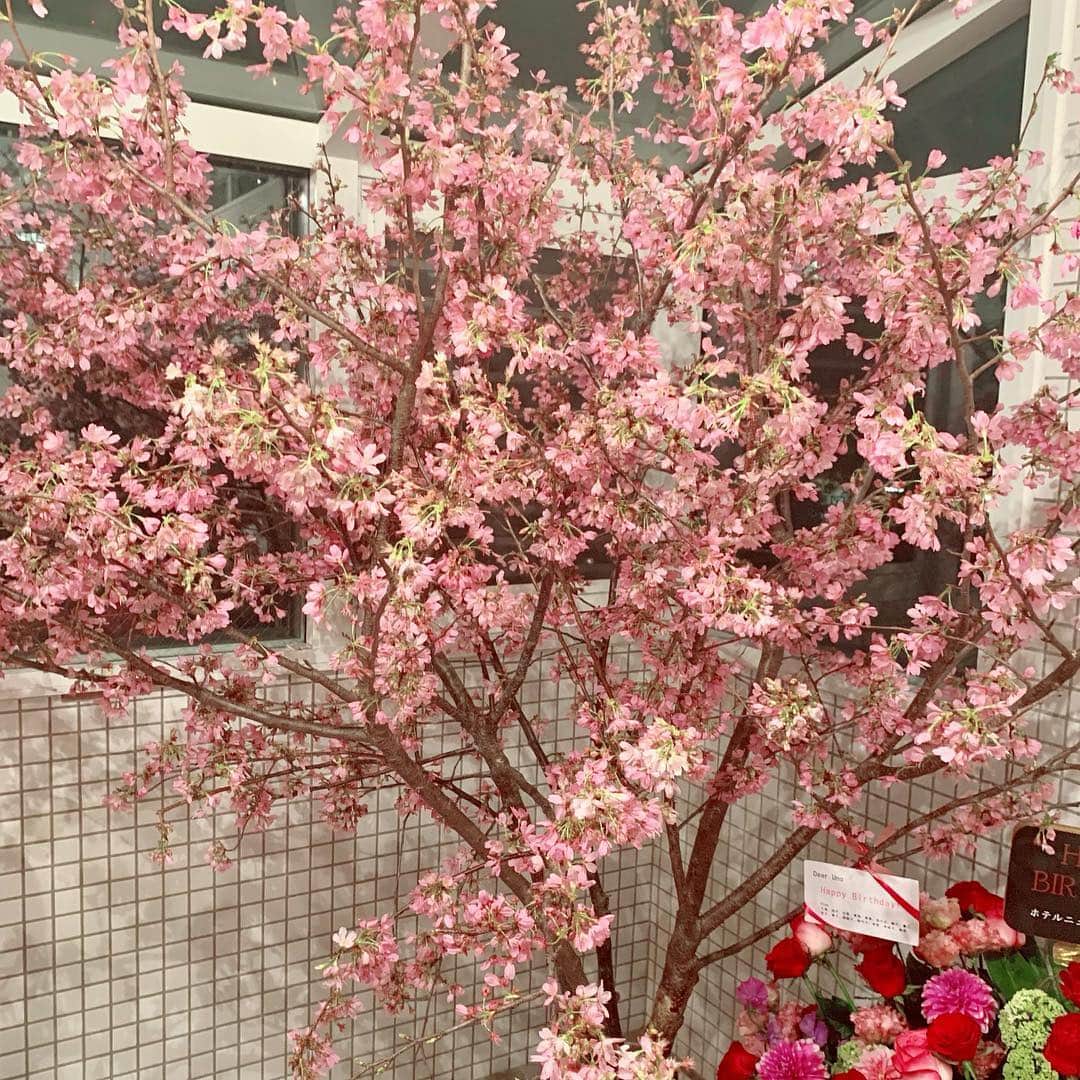 和泉佳子さんのインスタグラム写真 - (和泉佳子Instagram)「神田うのちゃん @unokandaofficial のバースデーパーティーにお招きいただきました🎂🥂✨ . ドレスコードは『ピンク』💗 . ということで、お料理もお花もピンク💗ピンク💗ピンク💗 . うのちゃんのお人柄が表れた、たくさんの祝福の包まれた、華やかで素敵なバースデーパーティーでした💕 . ハッピーバースデー🎂うのちゃん💗 . . #和泉佳子 #25ans #ヴァンサンカン #エレブロガー #神田うの ちゃん #バースデーパーティー #ハッピーバースデー #ピンク」3月31日 6時43分 - yoshiko_izumi
