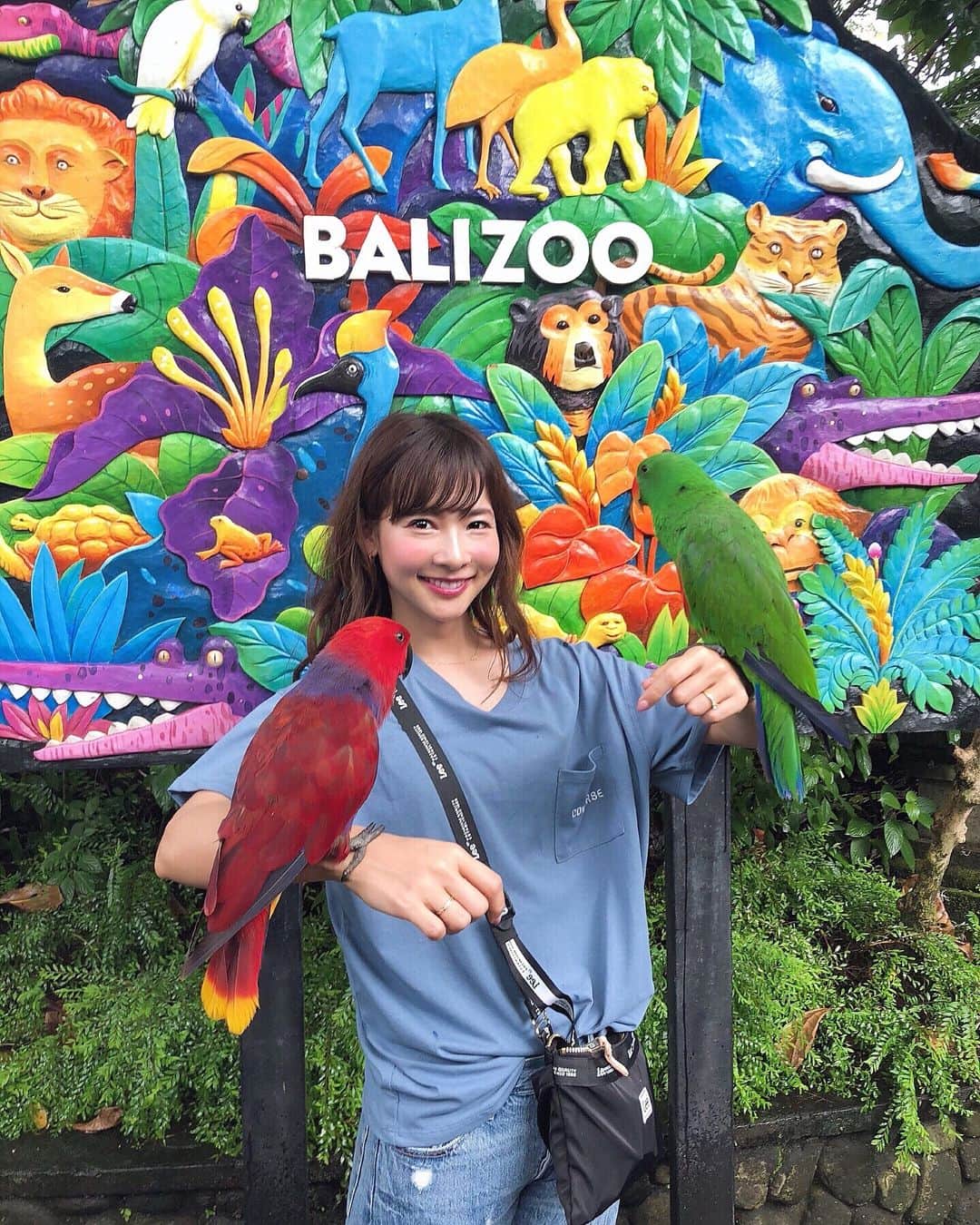 阪本智子さんのインスタグラム写真 - (阪本智子Instagram)「🦆♡ 🐘BALI ZOO🐅 たくさんの動物達と触れ合って 癒された〜(⌯˃̶᷄ ⁻̫ ˂̶᷄⌯)︎💕︎ みんな良い子で可愛かった☺️ でも最後は笑顔の後大変なことに..😂笑 ＊ 色々楽しめる#balizoo 本当におすすめ!!✨✨ 🦌🐓🐍🦃🐆🐖🐒🐊🦍 ＊ #bali #baliindonesia #balitrip #balitravel #genic_bali #zoo #elephant #bird #animal  #バリ #バリ島 #バリ島旅行 #海外旅行 #動物園 #またまた #ムツゴロウ #阪本智子」3月31日 6時48分 - tomoko_sakamoto423