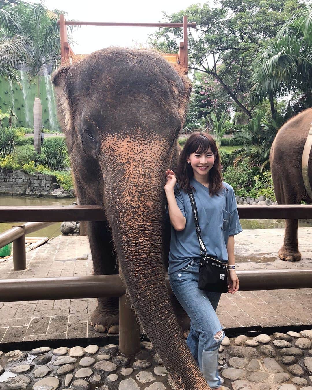 阪本智子さんのインスタグラム写真 - (阪本智子Instagram)「🦆♡ 🐘BALI ZOO🐅 たくさんの動物達と触れ合って 癒された〜(⌯˃̶᷄ ⁻̫ ˂̶᷄⌯)︎💕︎ みんな良い子で可愛かった☺️ でも最後は笑顔の後大変なことに..😂笑 ＊ 色々楽しめる#balizoo 本当におすすめ!!✨✨ 🦌🐓🐍🦃🐆🐖🐒🐊🦍 ＊ #bali #baliindonesia #balitrip #balitravel #genic_bali #zoo #elephant #bird #animal  #バリ #バリ島 #バリ島旅行 #海外旅行 #動物園 #またまた #ムツゴロウ #阪本智子」3月31日 6時48分 - tomoko_sakamoto423