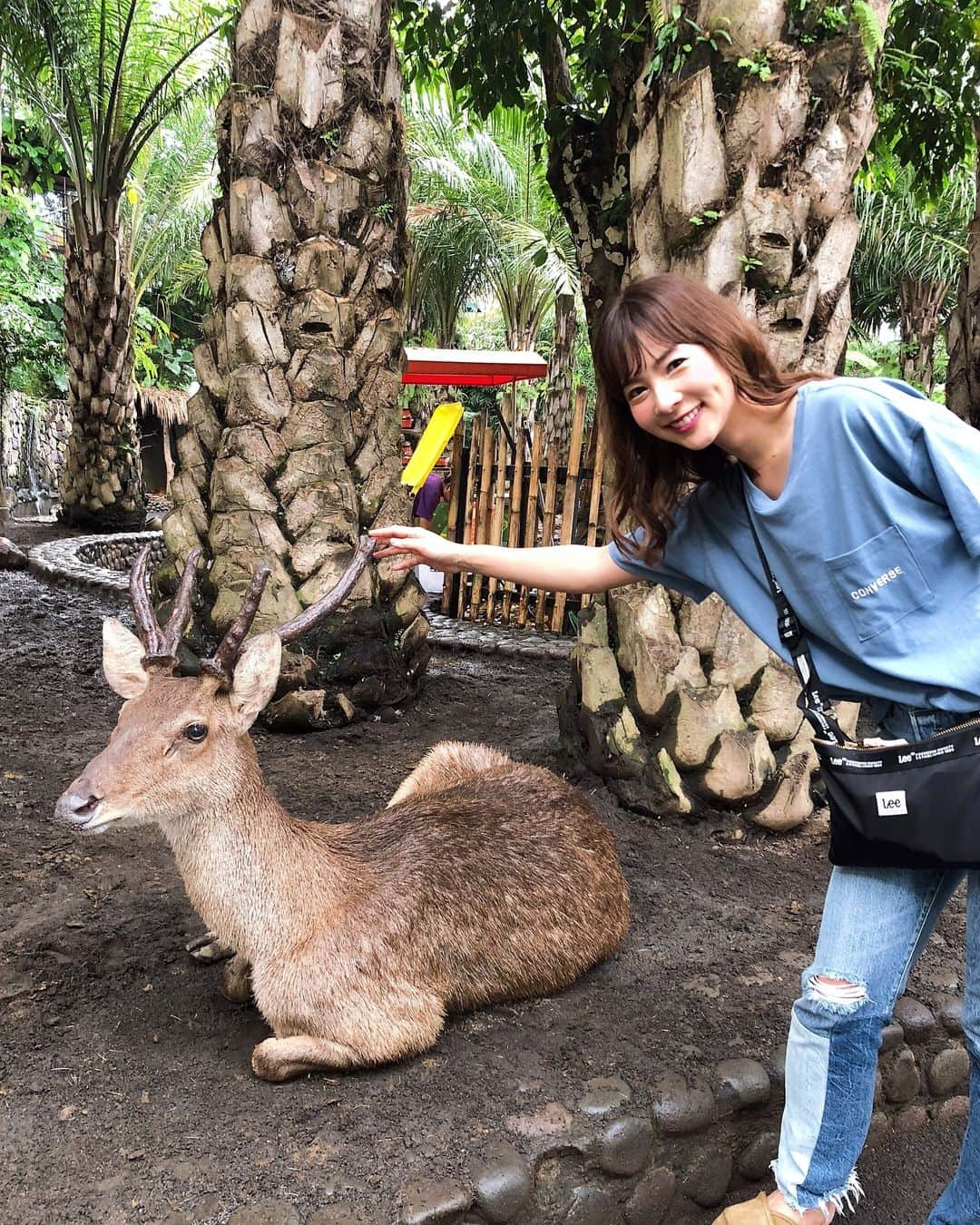 阪本智子さんのインスタグラム写真 - (阪本智子Instagram)「🦆♡ 🐘BALI ZOO🐅 たくさんの動物達と触れ合って 癒された〜(⌯˃̶᷄ ⁻̫ ˂̶᷄⌯)︎💕︎ みんな良い子で可愛かった☺️ でも最後は笑顔の後大変なことに..😂笑 ＊ 色々楽しめる#balizoo 本当におすすめ!!✨✨ 🦌🐓🐍🦃🐆🐖🐒🐊🦍 ＊ #bali #baliindonesia #balitrip #balitravel #genic_bali #zoo #elephant #bird #animal  #バリ #バリ島 #バリ島旅行 #海外旅行 #動物園 #またまた #ムツゴロウ #阪本智子」3月31日 6時48分 - tomoko_sakamoto423