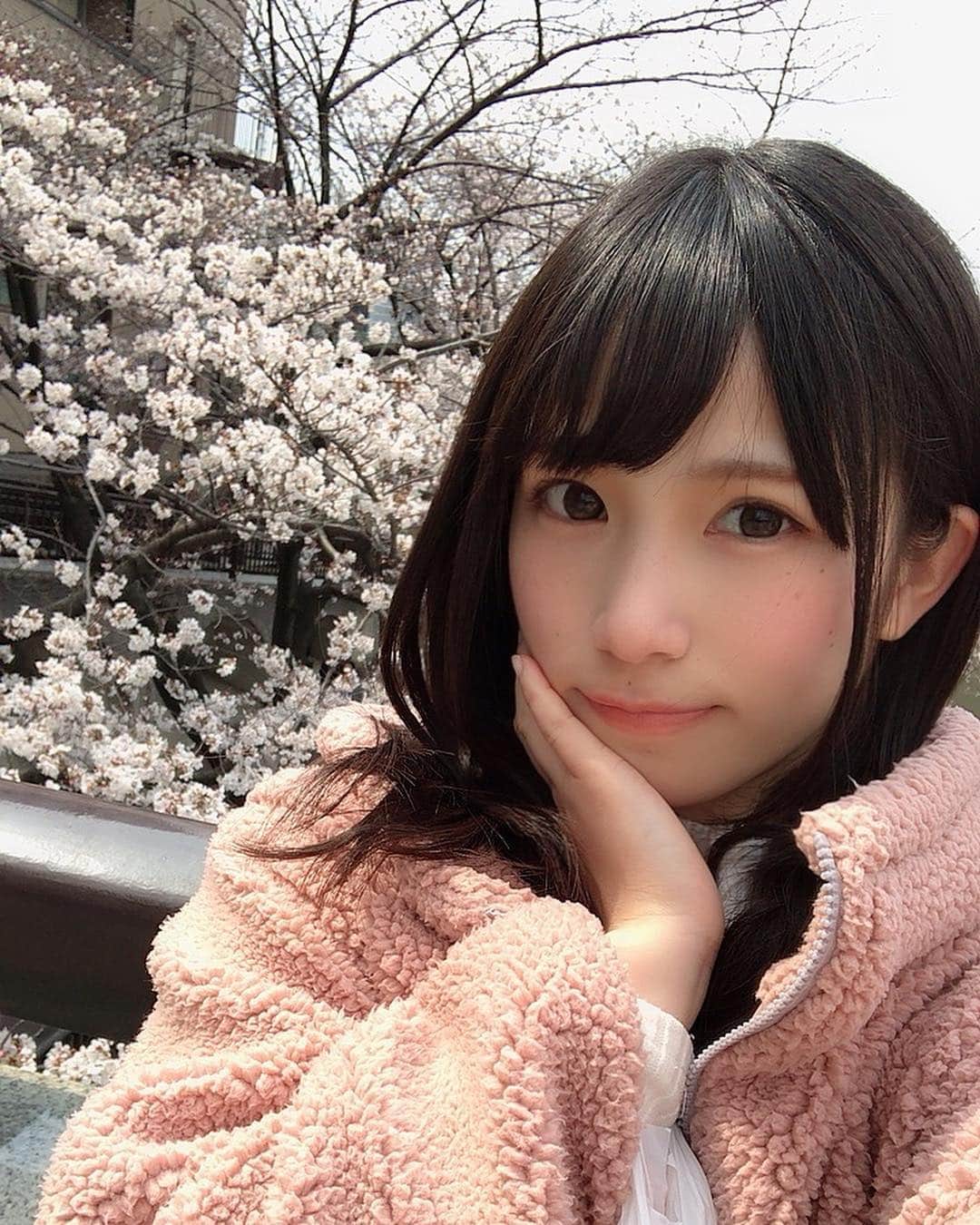 のインスタグラム：「Cherry blossoms💓 桜のトンネルみたいになっていて、綺麗だった😌 花が散ったら、川に流れていくのも見えるっていうのも、風流ですな❣️ #cherryblossom #桜 #meguroriver #目黒川 #目黒川の桜 #instagood #view #sakusa #beautiful #amazing #instagood #インスタ映え #春 #spring #love #好き #我的最愛 #粉我」