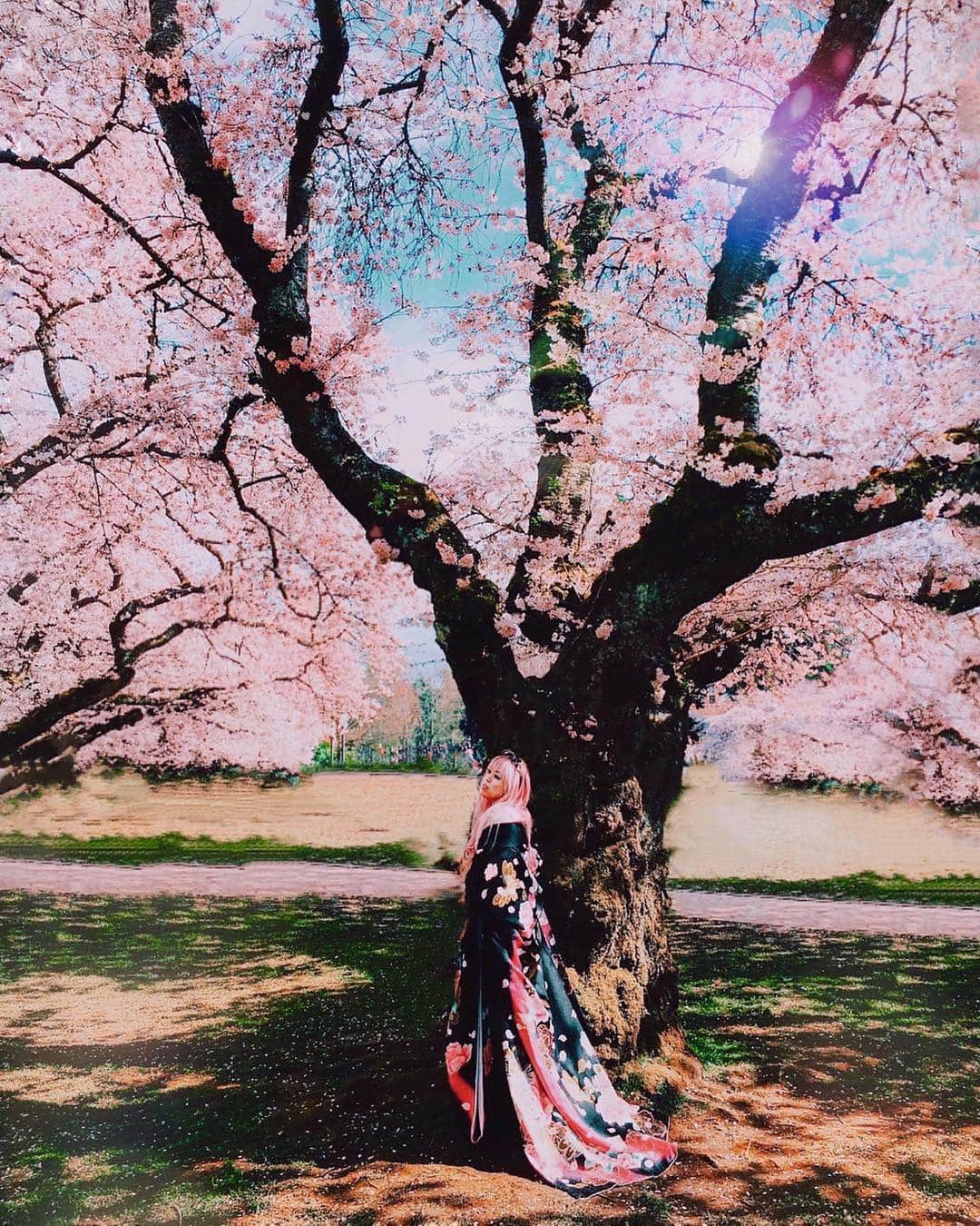 のインスタグラム：「𝐒𝐀𝐊𝐔𝐑𝐀 𝐬𝐞𝐚𝐬𝐨𝐧 𝐢𝐧 𝐟𝐮𝐥𝐥 𝐛𝐥𝐨𝐨𝐦 🌸🦋 —  Swipe left to see the original photo with hundreds of people around me & peek the IG stories to see how I removed them all ✨ ===== #cherryblossom #sakura #pinkaesthetic #springhassprung #tezzapresets #springtime #seattle」