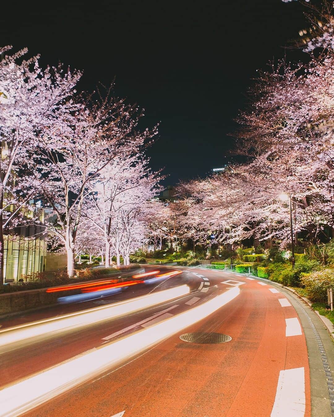 Galaxy Mobile Japanさんのインスタグラム写真 - (Galaxy Mobile JapanInstagram)「シャッタースピードを遅くしたら、鮮やかな桜と光の軌跡が撮れました！ 📸#GalaxyNote9 #Noteのある生活 #withgalaxy Photo by @8s_hero ・ ・ ・ #東京 #六本木 #東京ミッドタウン #桜 #さくら #桜2019 #お花見 #光跡  #スローシャッター #japan #tokyo #roppongi #cherryblossom #slowshutter #Galaxyカメラ部」3月31日 9時00分 - samsungjpn