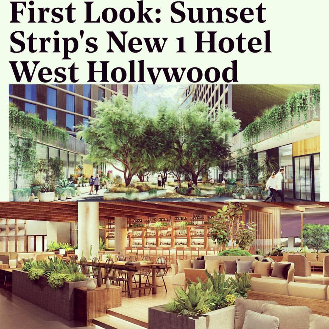 レイチェル・レフィブレのインスタグラム：「So proud of my hubby @chriscrary for the upcoming opening of his restaurant #1kitchen in the gorgeous #1HotelWestHollywood! Coming this Spring! @1hotels  Check our the @hollywoodreporter first look here https://www.hollywoodreporter.com/news/first-look-sunset-strips-new-1-west-hollywood-hotel-1197181」