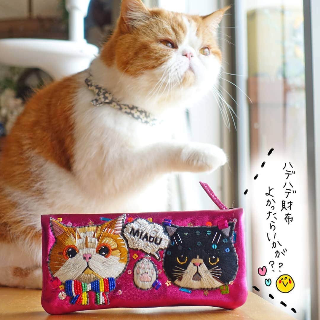 なっつ。さんのインスタグラム写真 - (なっつ。Instagram)「2019.3.31.sunday @tamao_world さん @tamao.hug2_nyan さん から発売されてる ぷにさんとぽしゅくんのお財布に 新色のメタリックピンクが加わりました😽 早速我が家へお嫁入り♡ . キャリーちゃんが使ってそうな これでもかって程かわゆい元気カラー♡ . 相変わらずの刺繍の素晴らしさは まじまじと見てしまう♡😭 . わたしは黒を今愛用してるんですが ものすごく入るので カード類が多いわたしでも カードケースを持たずに ぷにぽぽ。財布１つに 収納できることが 本当に嬉しい――――♡ もし派手かわゆいお財布を探してる方♡ おすすめです♡🙈 #家宝すぎるので飾る #もちろん黒も保存用あり #ずぅっと大事に使うんだ😊♥️♥️♥️ ・ ・ ・ #tamao#hug2#india#刺繍#財布#wallet#なっつの絵日記」3月31日 9時37分 - punipopo