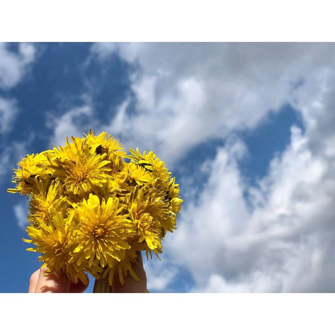 神子島みかさんのインスタグラム写真 - (神子島みかInstagram)「. #タンポポ #はいどーじょ と🌼 かわいい#プレゼント . . #Sunday#holiday#moaning#Japanesegirl#japan#tokyo#mam#dad#kids#fam#travel#instagood#instamood#instalike#instalove#instafollow#followme#instapic#我爱你#アラサー#ママ#週末#ほっこり#ポカポカ . . ⋆⸜ᵀᴴᴬᴺᴷ ᵞᴼᵁ⸝⋆」3月31日 9時53分 - kagomika