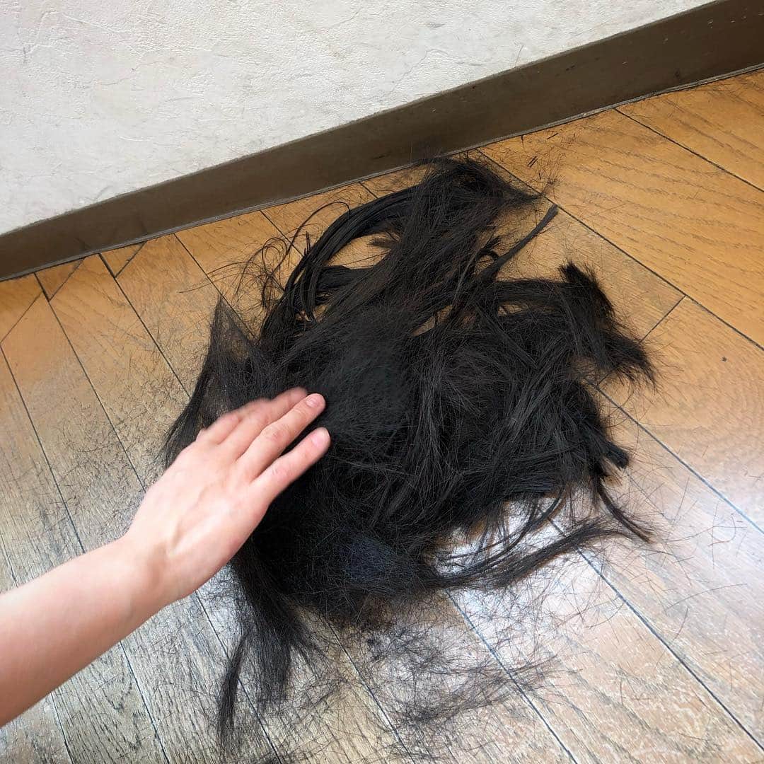 こうやもゆさんのインスタグラム写真 - (こうやもゆInstagram)「髪が軽くなって、シャンプーやドライヤーが本当に楽になりました。 またいつか伸ばしたくなる日も来るのかなあ。」3月31日 19時14分 - 1001moyu