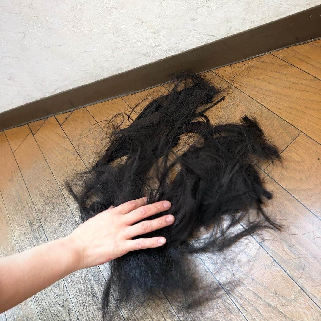 のインスタグラム：「髪が軽くなって、シャンプーやドライヤーが本当に楽になりました。 またいつか伸ばしたくなる日も来るのかなあ。」