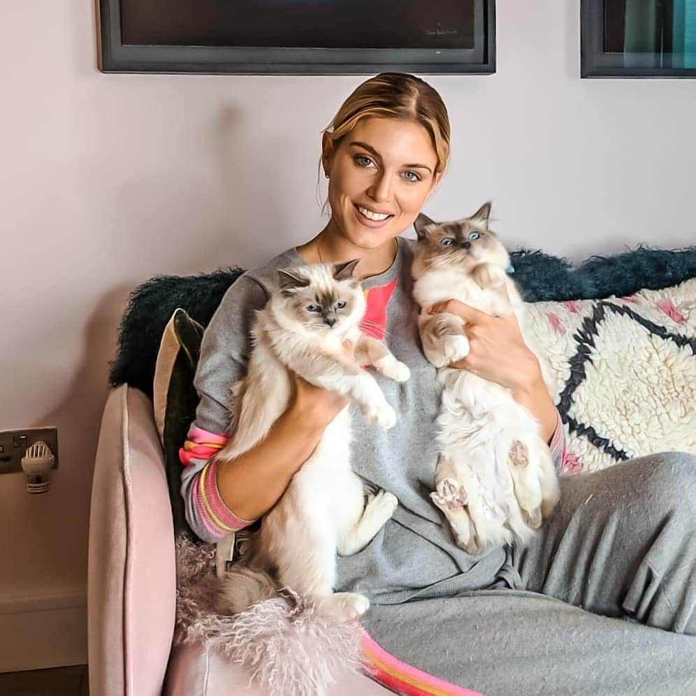 Ashley Jamesさんのインスタグラム写真 - (Ashley JamesInstagram)「AD: Cat Lady for life. 😻 I didn’t realise that March was the UK’s first ever Pet Anxiety Month, so I wanted to post this just in the nick of time because I think it’s a really important and interesting topic to talk about. 🐈🌼 Obviously I have a dog and three cats, and all three of my cats have been anxious at different times. Remember when I moved house and Biggie went missing for two days? One of you recommended the Feliway Classic diffuser and I used them and they really helped to settle him. Once Toulouse and Lady came into my home (a week after each other), they were so nervous around Biggie, but even more so around Snoop (my dog). 🐩  They acted very anxious, meowed a lot, and kept going to the loo outside of their litter tray. I refilled all the Feliway Classic plugs and now they are honestly so different, they do not go to the toilet outside the litter tray anymore. Although I’m sure Snoop would prefer the cats disappeared! If you think your pet might be anxious then there’s a brand new website called www.petanxiety.co.uk you can check out, and if you want to get involved in the campaign to spread the world, you can post your own personal cat’s story and use the hashtag #PawsforThought. 🐈❤️ @PetAnxiety #petanxietymonth #birmankittens #birmancat」3月31日 19時25分 - ashleylouisejames