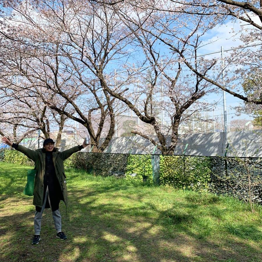 AYUMIさんのインスタグラム写真 - (AYUMIInstagram)「今年も桜がきれいに 咲いてくれています🥰 地元でのお花見会へ🌸 昨日は、息子と井の頭公園を歩いて🌸 夜は娘たちとお花見ピクニックをして🌸 桜をたくさん楽しませてもらった 週末に感謝して☆ . 桜が咲くのは、ほんのいっ時。 桜を見ていつも思うのは 毎日の〝その時、その時〝 一瞬、一瞬を大切にしよう！ 過去のことにとらわれず 先のことを心配しすぎず 〝今〝を大切に☆ . 明日から新年度。 また一歩、一歩！ . . #桜🌸 #お花見 #週末 #春休み」3月31日 19時35分 - ayumiayunco