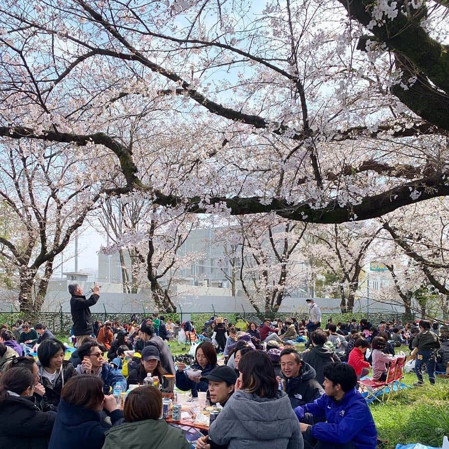 AYUMIさんのインスタグラム写真 - (AYUMIInstagram)「今年も桜がきれいに 咲いてくれています🥰 地元でのお花見会へ🌸 昨日は、息子と井の頭公園を歩いて🌸 夜は娘たちとお花見ピクニックをして🌸 桜をたくさん楽しませてもらった 週末に感謝して☆ . 桜が咲くのは、ほんのいっ時。 桜を見ていつも思うのは 毎日の〝その時、その時〝 一瞬、一瞬を大切にしよう！ 過去のことにとらわれず 先のことを心配しすぎず 〝今〝を大切に☆ . 明日から新年度。 また一歩、一歩！ . . #桜🌸 #お花見 #週末 #春休み」3月31日 19時35分 - ayumiayunco