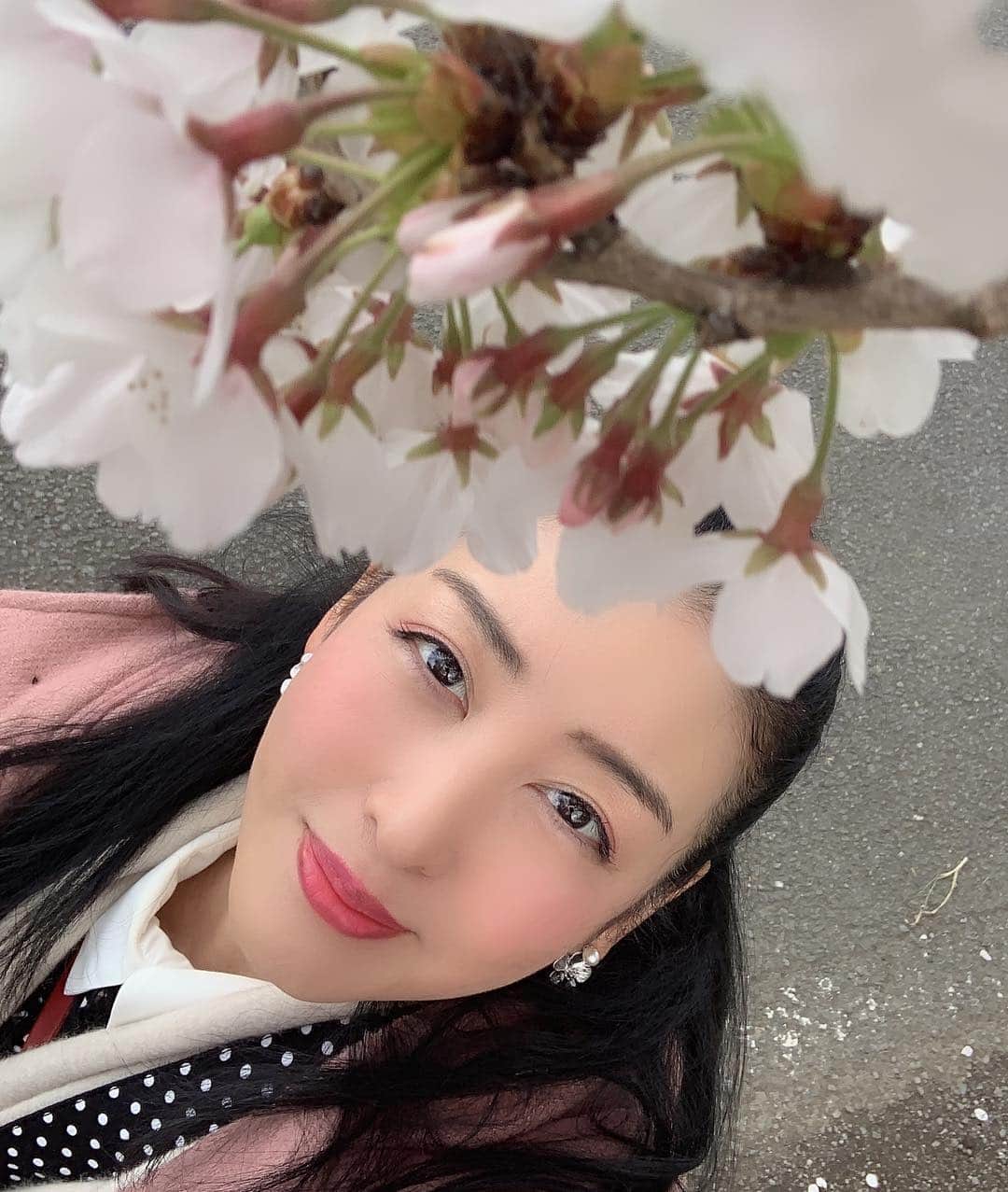 山本ミッシェールのぞみさんのインスタグラム写真 - (山本ミッシェールのぞみInstagram)「少し抜け出して… お花見🌸  #お花見  #桜  #はなよりだんご  #さんしょくだんご  #portrait_japan  #sakura  #japan #lovers_nippon_portrait #pics_jp #springinjapan」3月31日 19時35分 - michelle_yamamoto