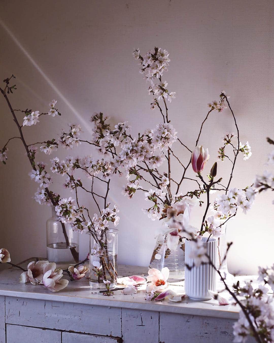 増田由希子さんのインスタグラム写真 - (増田由希子Instagram)「Happy Sunday✨ #flowerstyling #seasonalflowers #sakura #magnolias #magnolia #cherryblossom #flowerdecoration #cherryblossoms  #morninglight #lyngby #flowerdecorations 朝の光✨ #桜 #木蓮」3月31日 19時42分 - nonihana_