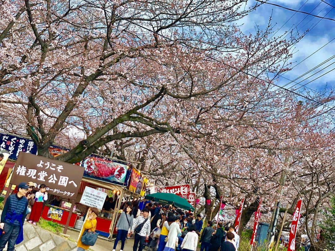 織田千穂さんのインスタグラム写真 - (織田千穂Instagram)「黄色💛ピンク💗青💙のミルフィーユ🍰💗 🌸*✲ﾟ*🌸*✲ﾟ*🌸🌸*✲ﾟ*🌸*✲ﾟ*🌸 #権現堂桜堤 #埼玉 #幸手権現堂桜堤 #権現堂公園 #菜の花畑 #花見 #幸手桜まつり #桜 #japan🇯🇵 #桜の木 #cherryblossom #ootd #cherrytree #桜色 #spring #春  #菜の花 #幸手 #bestjapanpics #お花見 #sakura #flowers #しだれ桜 #photo_shorttrip #桜満開🌸 #日本に生まれて良かった #桜2019 #春が来た #サクラ #桜の季節 🌸*✲ﾟ*🌸*✲ﾟ*🌸🌸*✲ﾟ*🌸*✲ﾟ*🌸」3月31日 19時43分 - chihoda