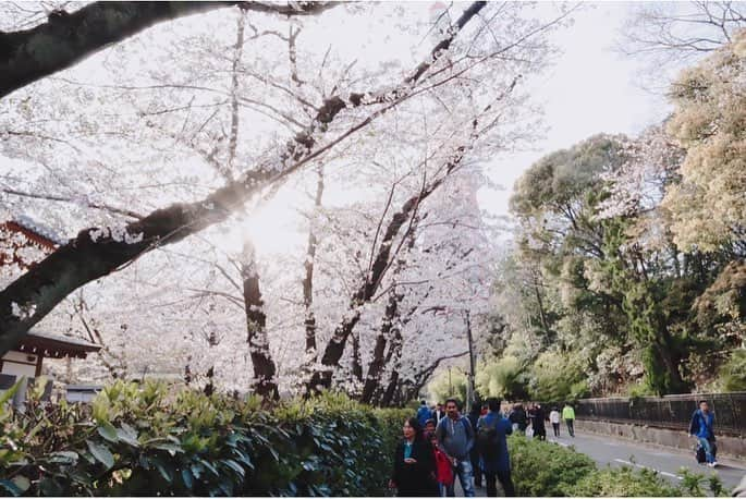 江頭ひなたさんのインスタグラム写真 - (江頭ひなたInstagram)「お花見🌸 #桜 #お花見 #春 #spring #cherryblossom #japan #日本 #東京 #tokyo」3月31日 19時43分 - hinataeto