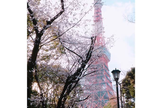 江頭ひなたさんのインスタグラム写真 - (江頭ひなたInstagram)「お花見🌸 #桜 #お花見 #春 #spring #cherryblossom #japan #日本 #東京 #tokyo」3月31日 19時43分 - hinataeto