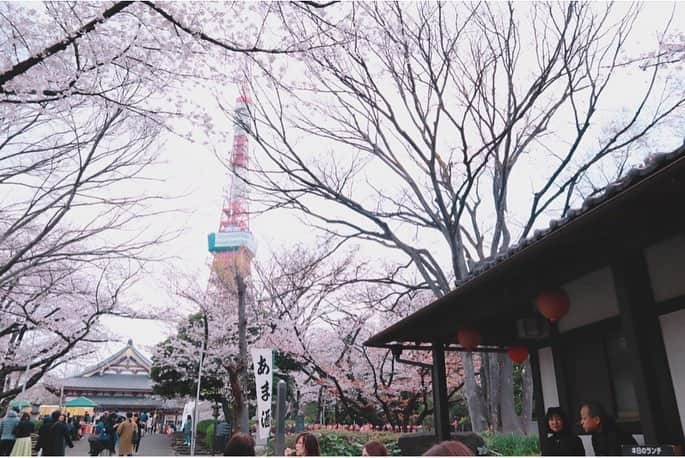 江頭ひなたさんのインスタグラム写真 - (江頭ひなたInstagram)「お花見🌸 #桜 #お花見 #春 #spring #cherryblossom #japan #日本 #東京 #tokyo」3月31日 19時43分 - hinataeto