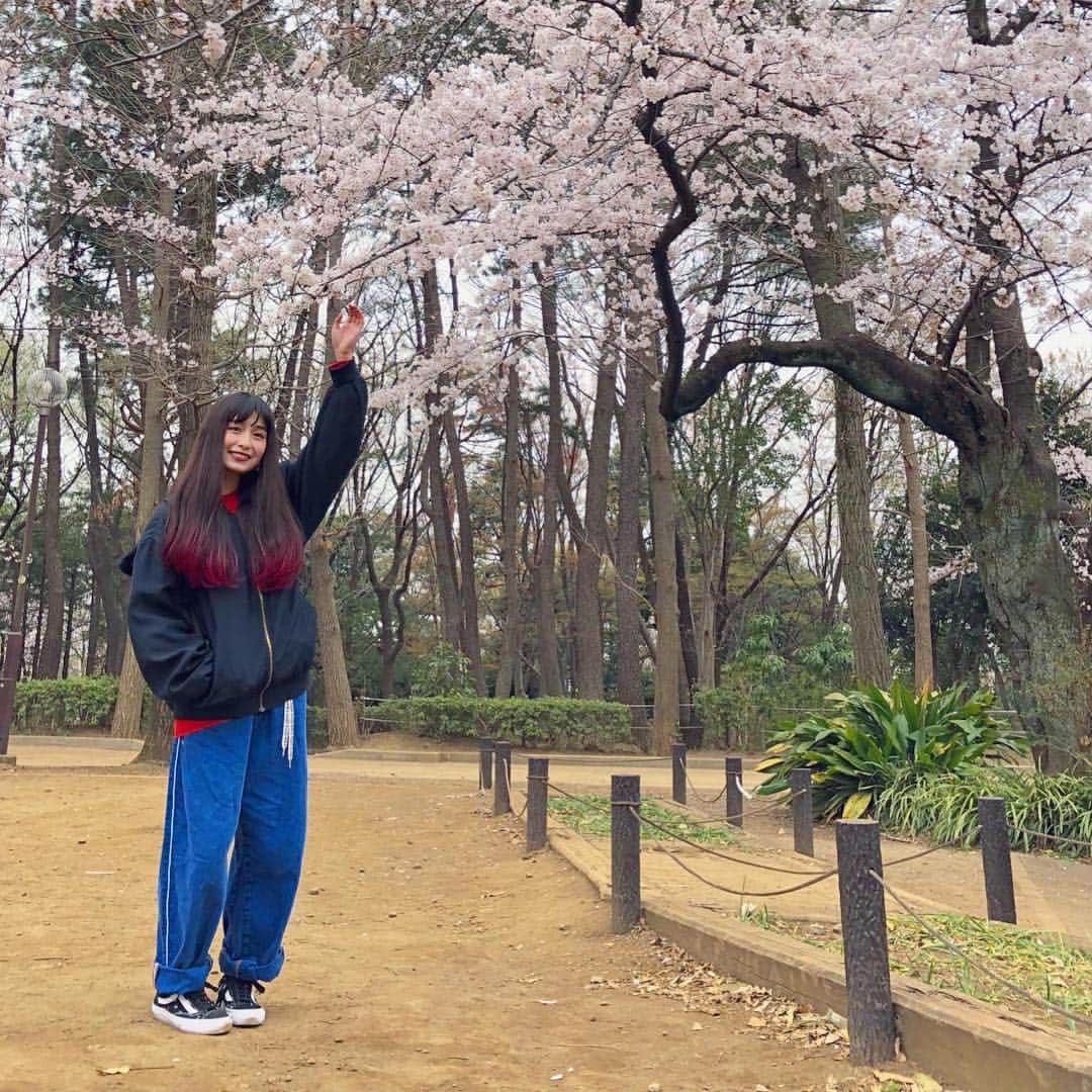 トミタ栞さんのインスタグラム写真 - (トミタ栞Instagram)「#今日のトミタ  桜載せておこうかな？ #桜 ←とか付けておこうかな #平成 ←とか。 #花見寒い ←とか。  あとは？」3月31日 19時46分 - tomita_shiori