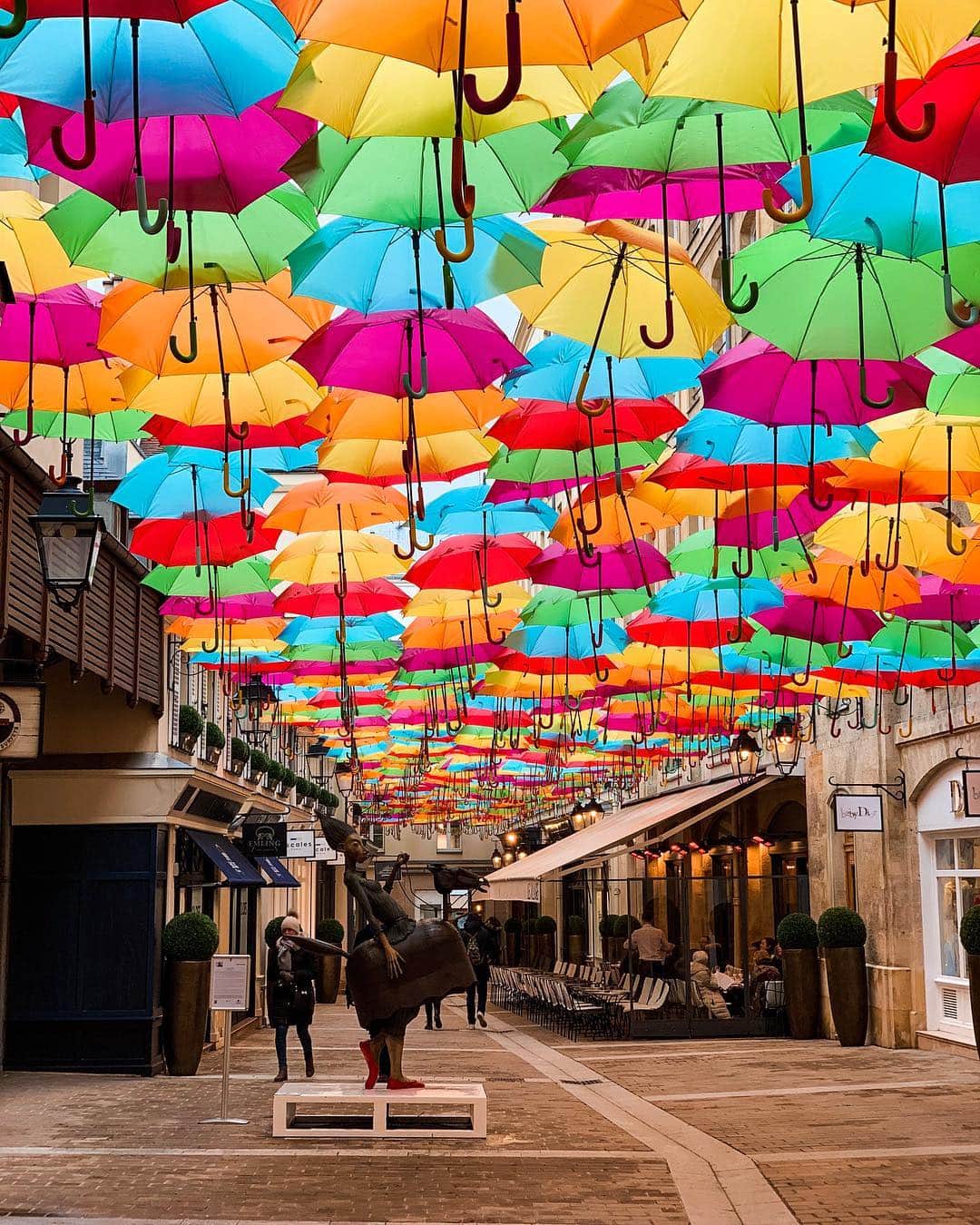 NICOLAS SIMOESのインスタグラム：「Colourful morning stroll... 📸✨」