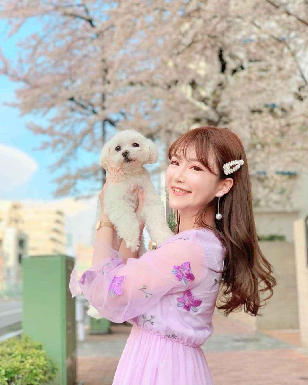 蓼沼綾さんのインスタグラム写真 - (蓼沼綾Instagram)「🐶🌸🍡💐🐩 ^_^ S.A.K.U.R.A...🌸 ・ すっきり晴れた日曜日🌞 ポカポカ陽気の中こたくんとお散歩へ🐩💕 ・ 桜には全く興味のないこたくんですが😂 今年もこうしてこたくんと桜を見ることができて 大満足です🐶🌸💕 ・ ふわふわ可愛いラベンダーワンピは @lissi__boutique 🎀 袖のふんわり感も裾の広がりも ドキドキするほど可愛い💓 ・ ZOZOTOWNでも取り扱いが始まったので 是非チェックしてね💐💕 ・ #lissiboutique #お花見 #お花見コーデ #ootd #outfit #instastyle #ふわもこわんこ #マルチーズ #お散歩デート #sakura #そめいよしの #桜並木 #lerevevaniller #vaniller_style #ヴァニレ #miumiu #ビジュースニーカー #zozotown」3月31日 20時06分 - tadeaya