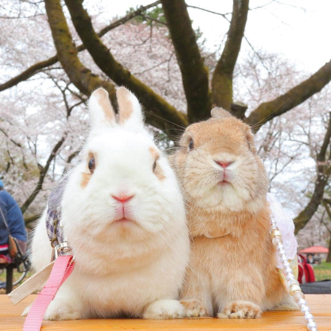 うー & なー ❤️ウチムラのインスタグラム