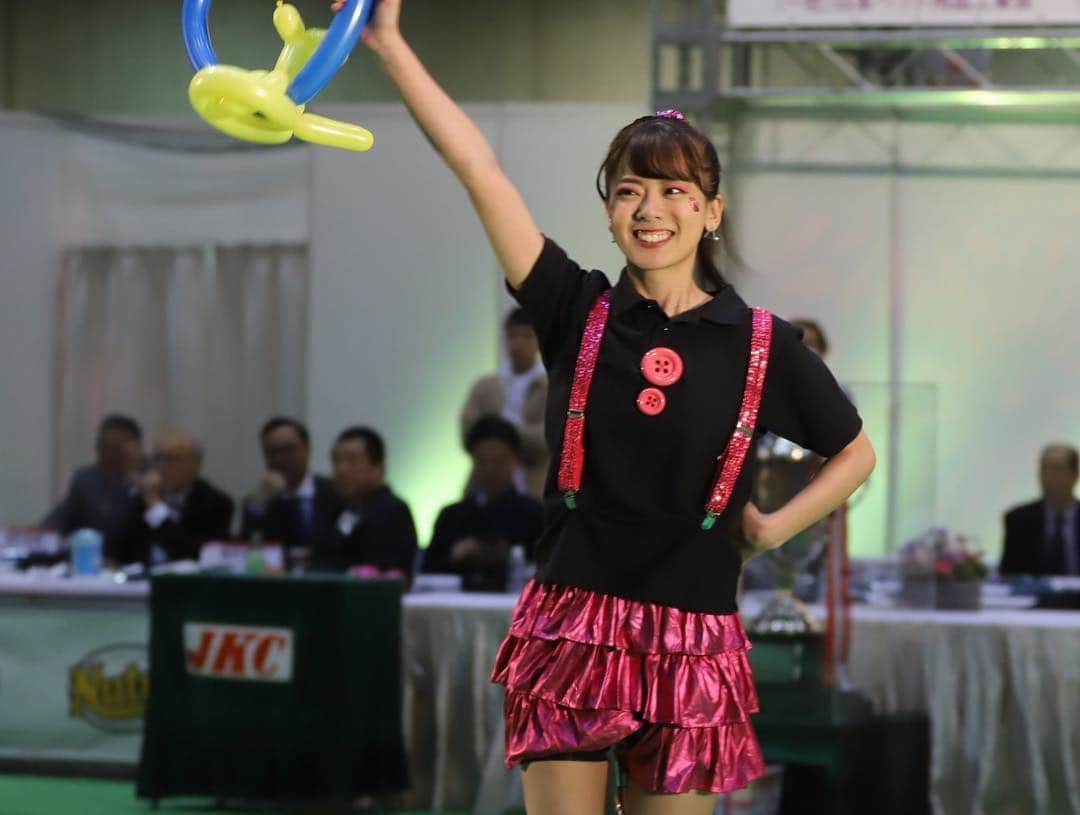 佐藤彩香さんのインスタグラム写真 - (佐藤彩香Instagram)「・ FCI JAPAN INTERNATIONAL DOG SHOW2019  Dogdance × unicycle  ドッグダンスと一輪車のコラボショー！！ 今年も出演させて頂きました🐶 記念すべき70周年ということで エンディングでは沢山のバルーンを使ってお祝いの演出しました☺ 可愛くバルーンができて満足してます！笑笑  わんちゃんとのコラボも 上手くいってショーを楽しく終える事ができました💗  見にきてくださった方々、 関係者の皆様、 ありがとうございました😊  そして静岡から出演してくれた まあとあきありがとう☺️ おつかれさまでした🐶！ ・ ・ ・ #fciドッグショー #一輪車 #ドッグダンス #コラボショー #dogshow #unicycleshow #collaboration #balloon  #thankyouall #chocolat」3月31日 20時25分 - ayaka_01_sato