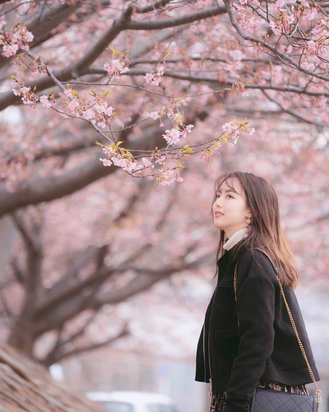 艾芊芊さんのインスタグラム写真 - (艾芊芊Instagram)「咲くの季節#さくら #三浦海岸 #神奈川旅行 #インフルエンサージャパン #モデル」3月31日 11時55分 - iceykoko