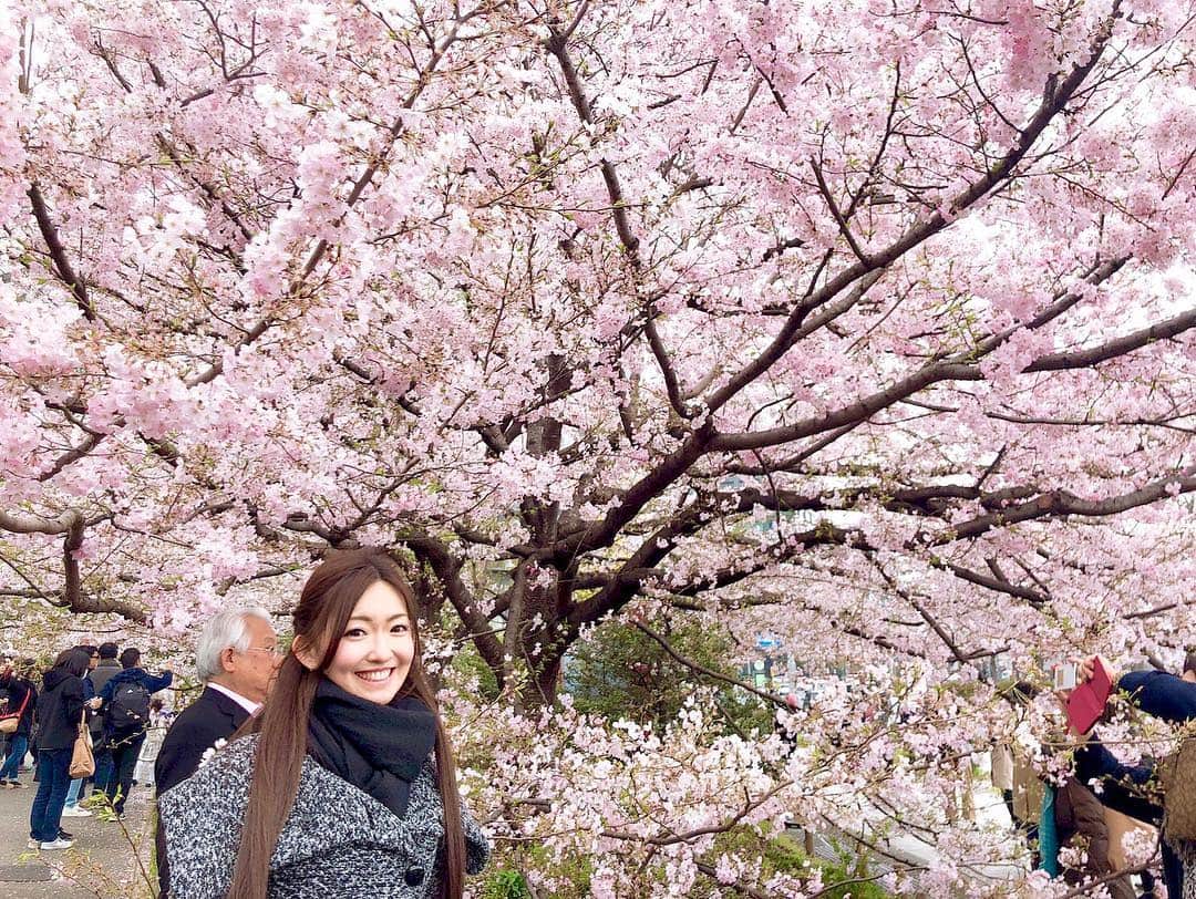 江川清音さんのインスタグラム写真 - (江川清音Instagram)「﻿ 🌸国立劇場🌸﻿ 神代曙桜、駿河桜、駿河小町桜、小松乙女桜、仙台屋桜などの珍しい桜が前庭に植えられています🥰💓﻿ 本数自体は多くはありませんが、色が違って綺麗です✨✨﻿ ﻿ ちょうど見頃でした〜ナイスタイミング🤗💕﻿ ﻿ #桜 #神代曙 #駿河桜 #駿河小町桜 #小松乙女桜 #仙台桜 #国立劇場 #勝手にさくプロ大使 #お花見 #ウェザーニュースキャスター」3月31日 12時05分 - egawasayane