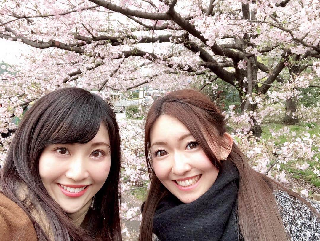 江川清音さんのインスタグラム写真 - (江川清音Instagram)「﻿ 🌸国立劇場🌸﻿ 神代曙桜、駿河桜、駿河小町桜、小松乙女桜、仙台屋桜などの珍しい桜が前庭に植えられています🥰💓﻿ 本数自体は多くはありませんが、色が違って綺麗です✨✨﻿ ﻿ ちょうど見頃でした〜ナイスタイミング🤗💕﻿ ﻿ #桜 #神代曙 #駿河桜 #駿河小町桜 #小松乙女桜 #仙台桜 #国立劇場 #勝手にさくプロ大使 #お花見 #ウェザーニュースキャスター」3月31日 12時05分 - egawasayane