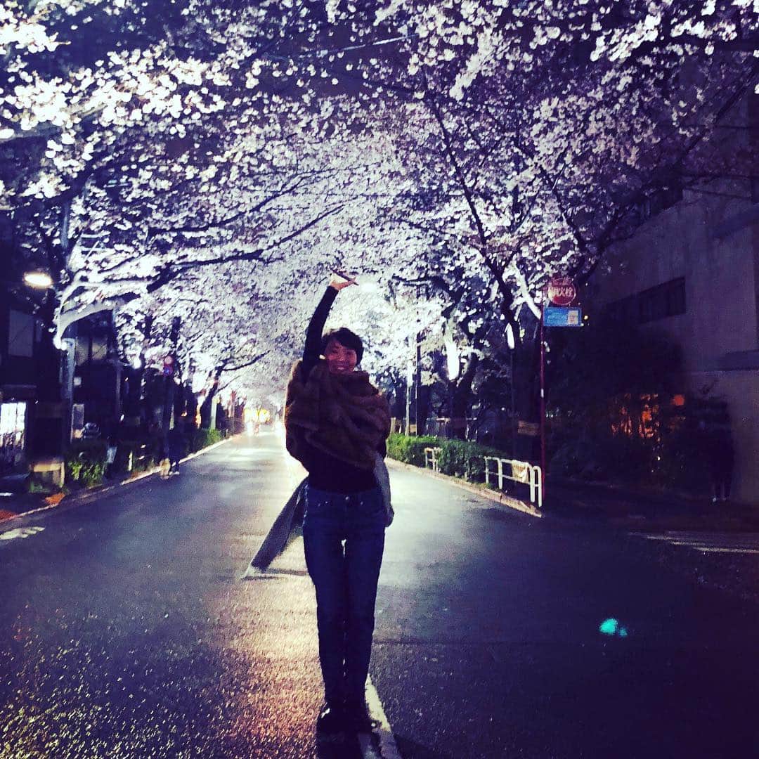 渡邊由貴さんのインスタグラム写真 - (渡邊由貴Instagram)「This is it ‼️ #cherryblossom」3月31日 11時59分 - yukiwatanabe788