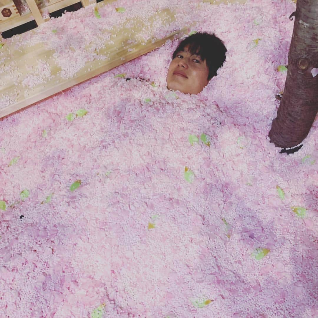 上重聡さんのインスタグラム写真 - (上重聡Instagram)「桜と上重🌸 #シューイチ #桜」3月31日 12時00分 - satoshi18kamishige