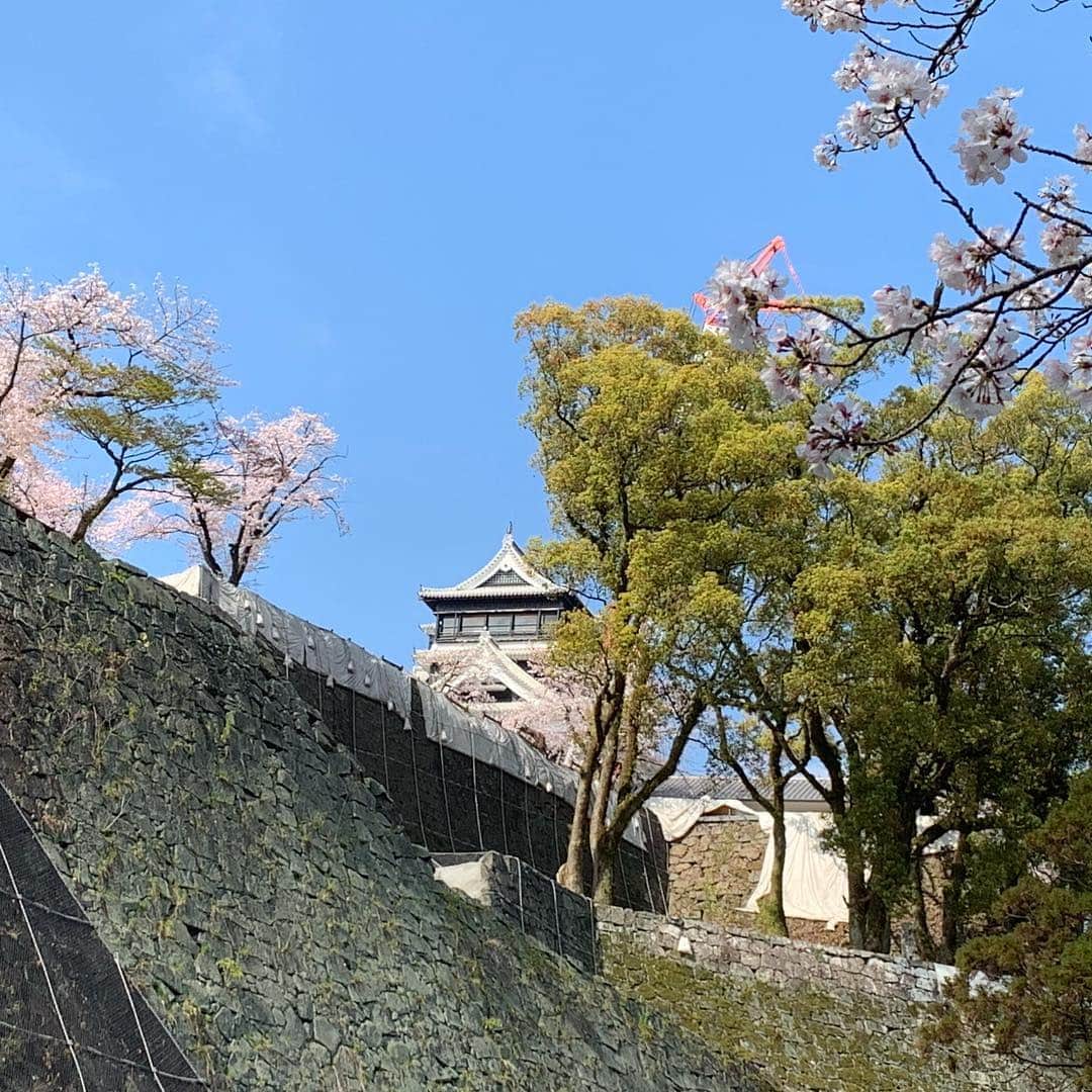 小塚崇彦さんのインスタグラム写真 - (小塚崇彦Instagram)「#熊本城🏯 #桜も綺麗に咲いてる🌸  #またゆっくり来よう #いざ福岡」3月31日 12時30分 - takakozuka
