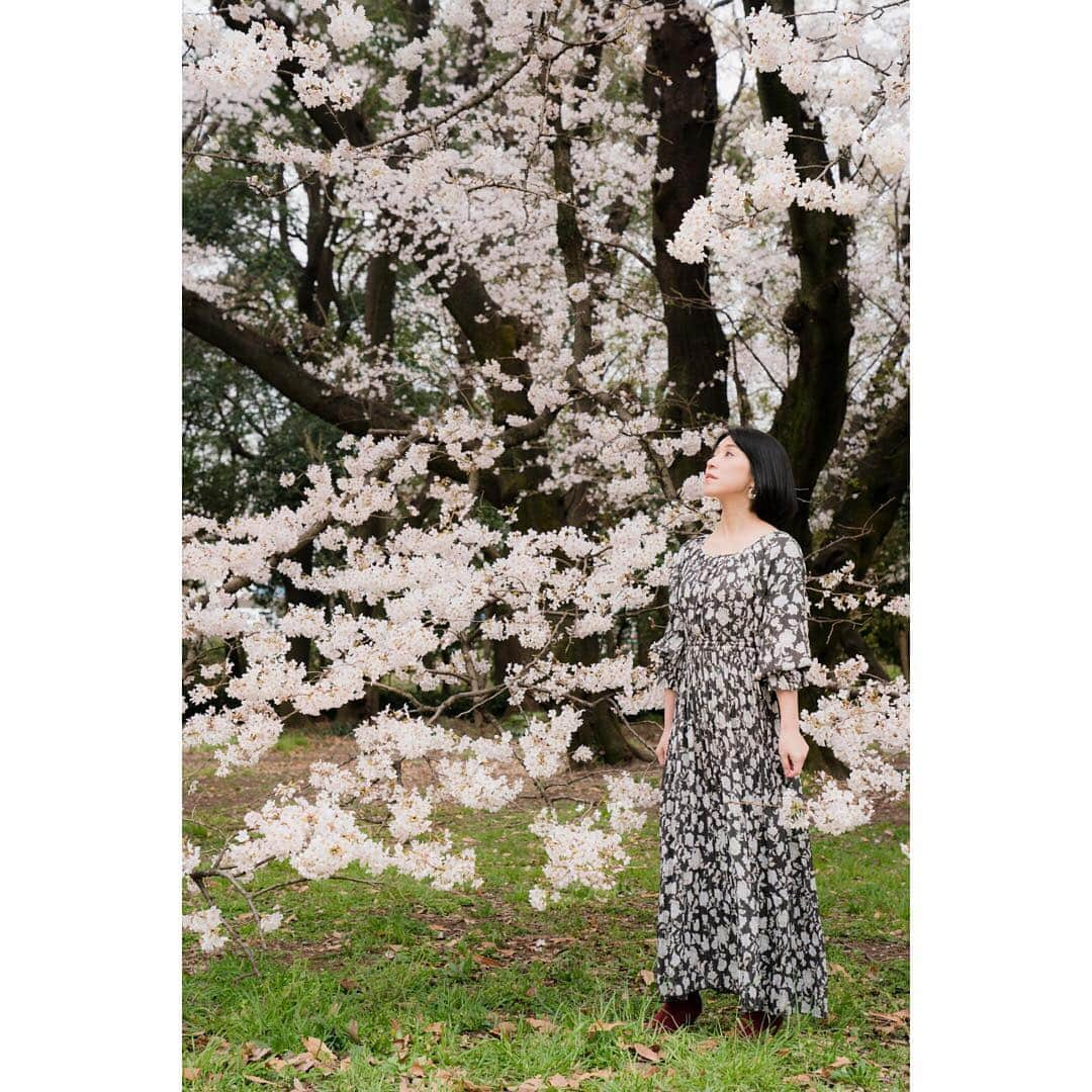 川田希さんのインスタグラム写真 - (川田希Instagram)「🌸🌸🌸 . . . #桜 #さくら #cherryblossom #japan #tokyo #sakura #portrait #photography #写真好きな人と繋がりたい」3月31日 12時42分 - nozomikawata